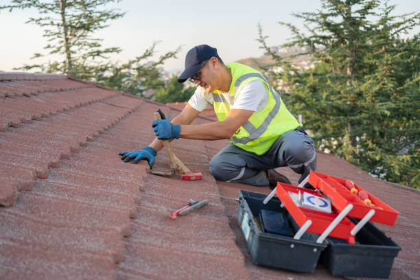 Best Roof Repair Services  in Lisle, IL